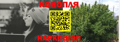 эйфоретик Кингисепп