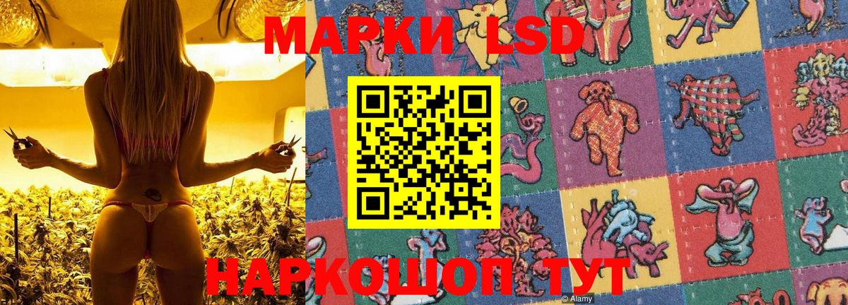 Армавир  Марки 25I-NBOMe 1500мкг  Марки 25I-NBOMe 1500мкг  Вход с VPN 