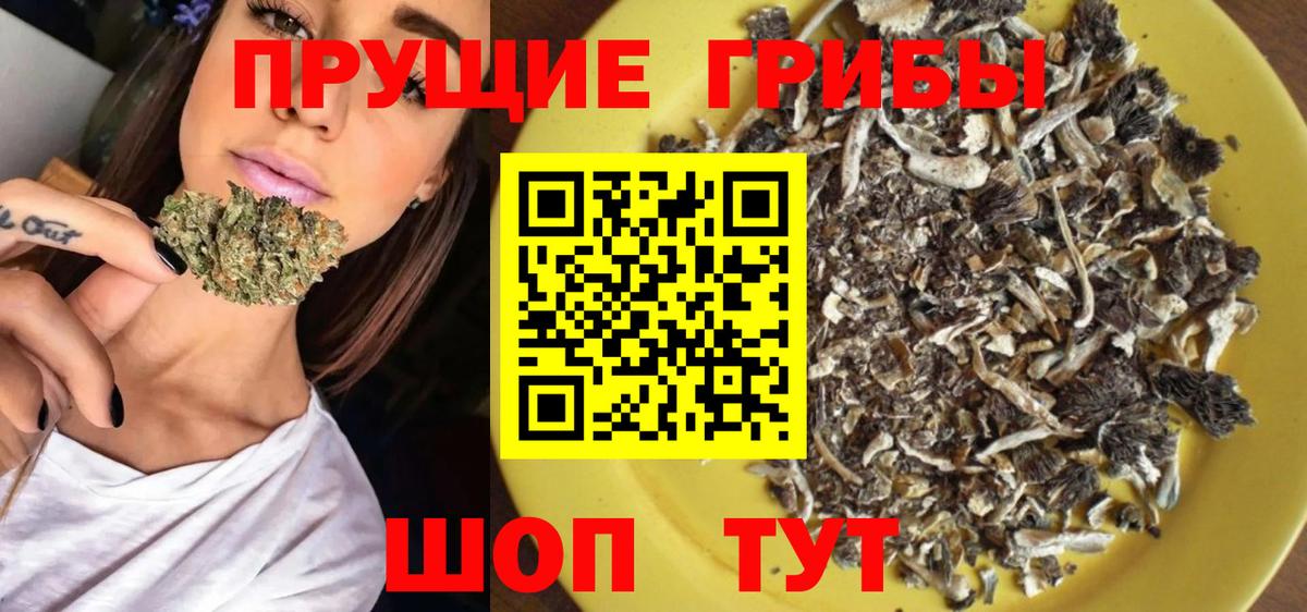 Армавир  Галлюциногенные грибы Magic Shrooms  Вход с VPN  Псилоцибиновые грибы Psilocybine cubensis 